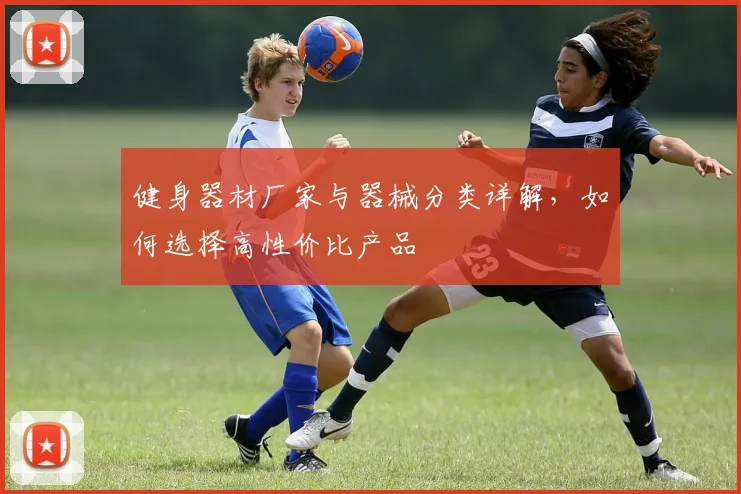 健身器材厂家与器械分类详解，如何选择高性价比产品