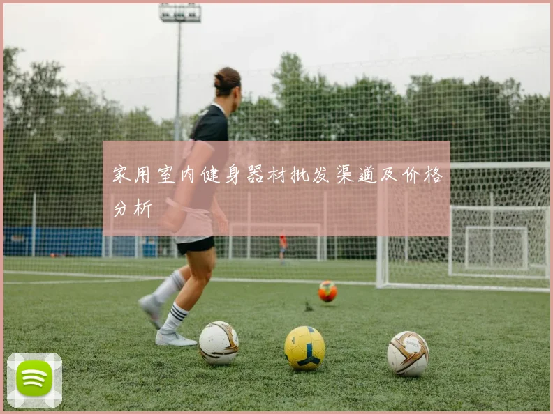 家用室内健身器材批发渠道及价格分析