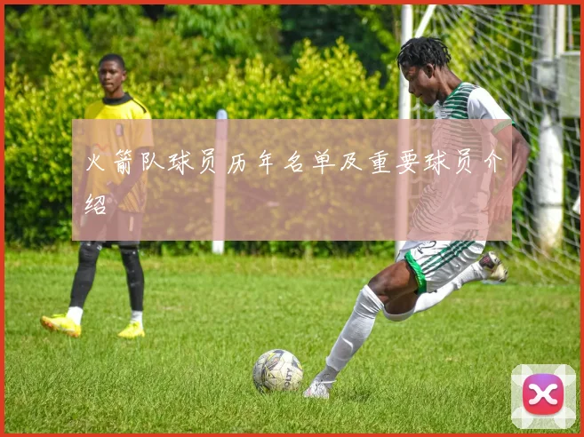 火箭队球员历年名单及重要球员介绍