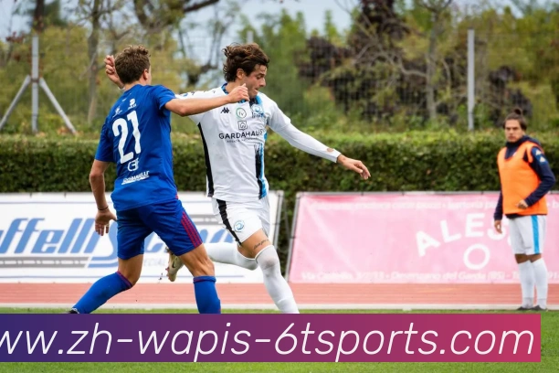 6T体育平台生态图