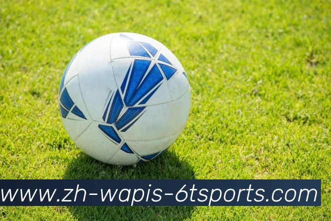 6T体育APP 封面图